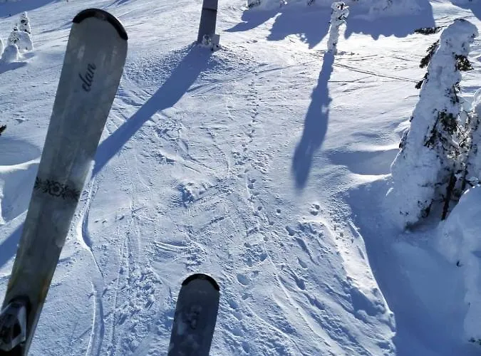 S&a Milmari S43 Apartament Kopaonik